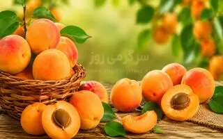 خواص بی نظیر  زردآلو که کمتر کسی از آن می داند ؛ از کاهش قند خون تا سلامت قلب