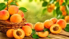 خواص بی نظیر  زردآلو که کمتر کسی از آن می داند ؛ از کاهش قند خون تا سلامت قلب