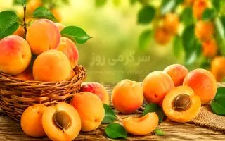 خواص زردآلو برای قند خون، سلامت مردان و درمان‌های خانگی