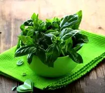 این سبزی در سبزی خوردن ضد دیابت، ضد درد، ضد فشار خون و ضد گاز معده است
