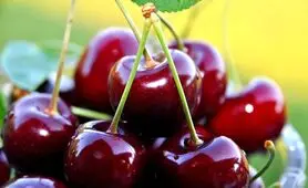 با این میوه تابستانی بدون قرص مشکلات خوابتان را برطرف کنید

