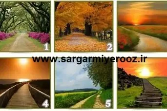 بدن شما اینجاست، ذهن شما کجاست؟ | کدام مسیر را برای پیاده روی انتخاب می کنید؟