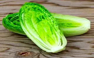 چرا تا حالا کسی یادمون نداده بود کاهو اینجوری تا یکماه تاره میمونه؟ | بهترین روش برای تازه نگه داشتن کاهو به مدت یکماه + ویدیو آموزشی