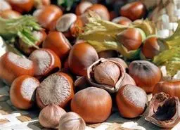 این مغز پر خاصیت باعث کاهش کلسترول و بهبود سلامت قلب