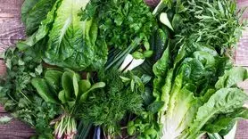 درمان انواع سرطان با این سبزیجات ارزون و مقرون به صرفه