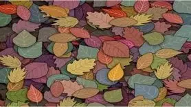 بازی فکری : فقط کسانیکه دید عقابی دارند تو 6 ثانیه قورباغه رو پیدا می کنند!