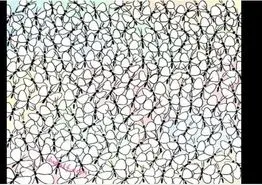 بازی فکری : اگه بتونی مورچه رو تو ۶ ثانیه پیدا کنی آزمون خلبانی آمریکارو قبول میشی!