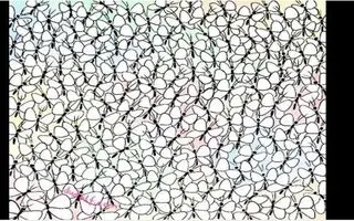 بازی فکری : اگه بتونی مورچه رو تو ۶ ثانیه پیدا کنی آزمون خلبانی آمریکارو قبول میشی!