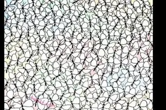 بازی فکری : اگه بتونی مورچه رو تو ۶ ثانیه پیدا کنی آزمون خلبانی آمریکارو قبول میشی!