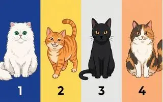 تست شخصیت شناسی : با  انتخاب یک گربه بفهمید چقدر سنگ صبور هستید!