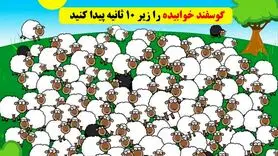 تست هوش | زیر ده ثانیه بره خوابیده را پیدا کنید چشمتون خیلی تیزه