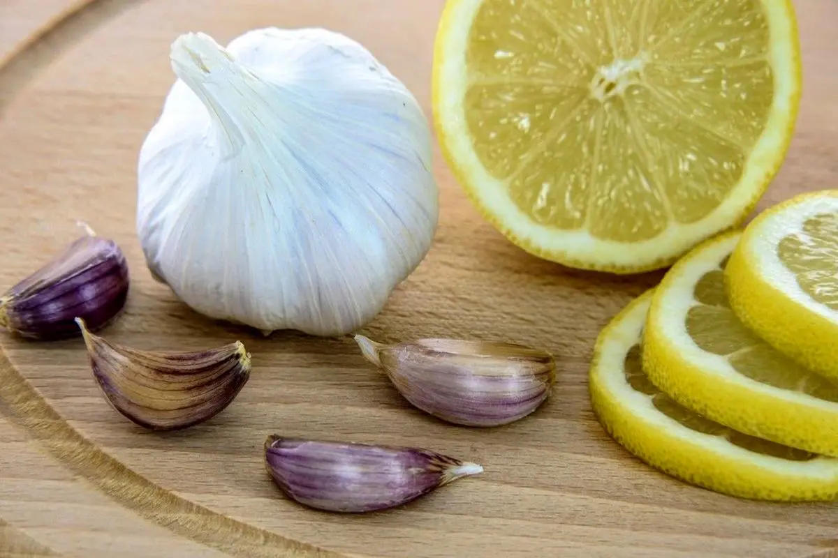 این معجون کار تمام دکترهای قلب و عروق رو کساد کرده | طرز تهیه معجون طلایی سیر به همراه این میوه + ویدیو