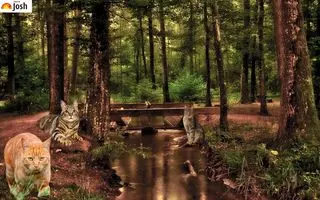 بازی فکری:با استفاده از دید چشم شاهین خود و دید 20/20، گربه چهارم را در جنگل پیدا کنید!