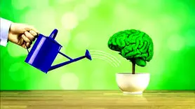  این غذاها را بخورید حافظه تان مثل ساعت کار می کند 