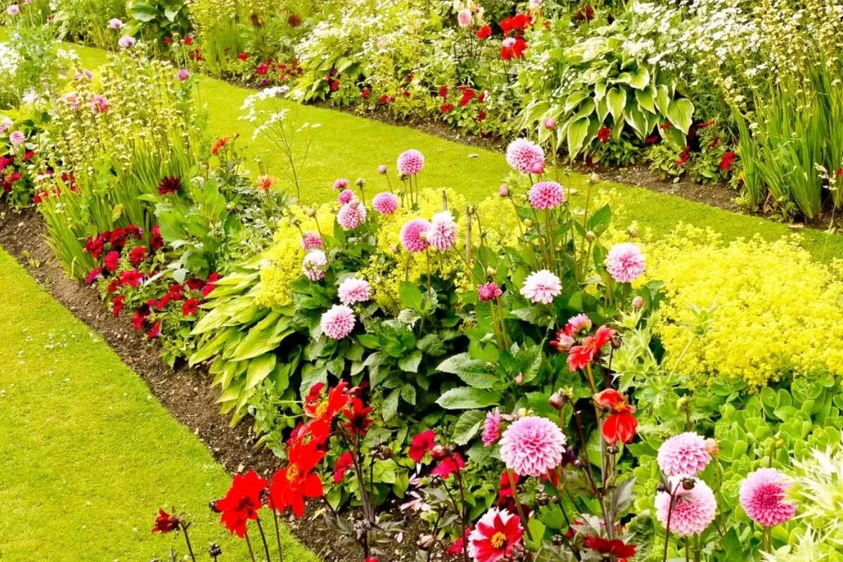 بازی فکری: تیز بین ها زودی بیان تو ۱۰ ثانیه مرغ مگس خوار و پیدا کنن!کلا ۱۰۰ نفر تو دنیا تونستن!