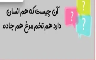 چیستان روز | آن چیست که هم انسان دارد هم تخم مرغ هم جاده؟