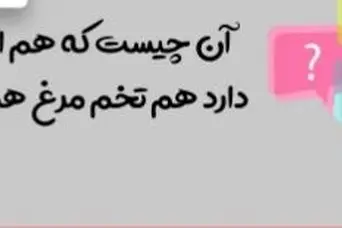 چیستان روز | آن چیست که هم انسان دارد هم تخم مرغ هم جاده؟