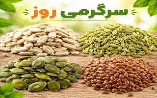 افزایش طبیعی سایز سینه با این دانه‌های گیاهی | با خوردن این ۴ دانه، به‌طور طبیعی سایز سینه‌تان را افزایش دهید! 