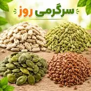 افزایش طبیعی سایز سینه با این دانه‌های گیاهی | با خوردن این ۴ دانه، به‌طور طبیعی سایز سینه‌تان را افزایش دهید! 