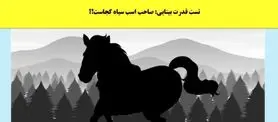 تست هوش | فقط کسایی که ذهن بازی دارن میتونن صاحب اسب رو پیدا کنن