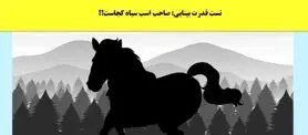 تست هوش | فقط کسایی که ذهن بازی دارن میتونن صاحب اسب رو پیدا کنن