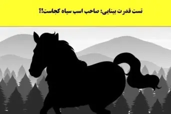 تست هوش | فقط کسایی که ذهن بازی دارن میتونن صاحب اسب رو پیدا کنن