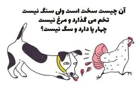 چیستان روز : سفته؛ اما سنگ نیست؛ تخم می‌گذاره اما مرغ نیست و 4 پا دارد اما سگ نیست؟