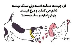 چیستان روز : سفته؛ اما سنگ نیست؛ تخم می‌گذاره اما مرغ نیست و 4 پا دارد اما سگ نیست؟