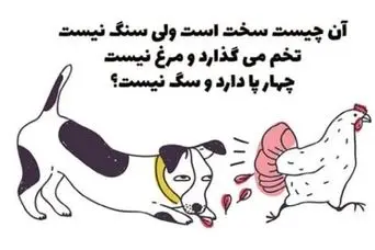 چیستان روز : سفته؛ اما سنگ نیست؛ تخم می‌گذاره اما مرغ نیست و 4 پا دارد اما سگ نیست؟
