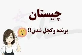 چیستان روز | اون چه پرنده‌ایه که اگه بیوه بشه کچل میشه؟؟