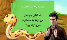 چیستان به سبک حبیب | چرا مار نمیتونه بره مسافرت؟
