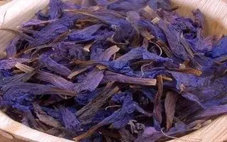  ۱۰ خاصیت شگفت‌انگیز گل گاو زبان که پزشکان تأیید می‌کنند