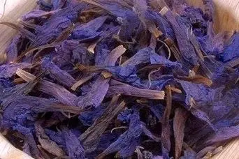  ۱۰ خاصیت شگفت‌انگیز گل گاو زبان که پزشکان تأیید می‌کنند