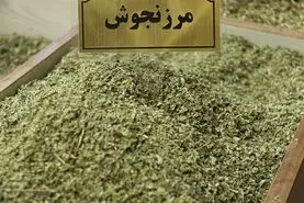 هم اضطراب داری هم گوارشت بهم‌ریخته هم می‌خوای لاغر بشی؟ این گیاه معجزه‌آسا رو مصرف کن تا همه مریضیات تموم بشه