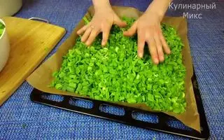 ترفند جادویی خشک کردن پیازچه بدون تغییر رنگ و بو | با این ترفند همیشه پیازچه دارید