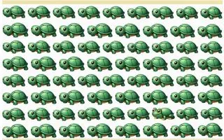 بازی فکری : اگر در کمتر از ۵ ثانیه قورباغه را بین لاک‌پشت‌ها پیدا کنید، بینایی شما ۲۰/۲۰ است