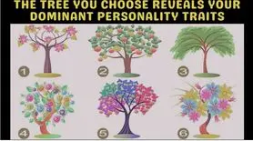 تست شخصیت شناسی | یک درخت انتخاب کن تا بگم آدم مسئولیت پذیر، باهوش، تنبل یا زرنگی هستی