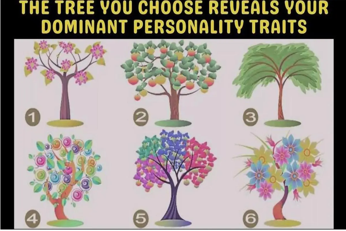 تست شخصیت شناسی | یک درخت انتخاب کن تا بگم آدم مسئولیت پذیر، باهوش، تنبل یا زرنگی هستی