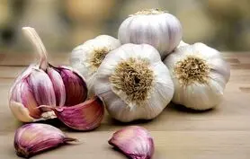 سیر واقعاً پشه‌ها را فراری می‌دهد؟