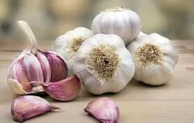 این ماده غذایی را ناشتا بخورید تا بدنتان سم زدایی شود