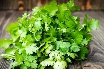 نسخه طب سنتی برای دیابت / گشنیز را اینگونه مصرف کنید تا قند خونتان تنظیم شود