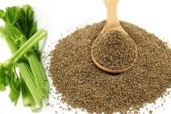 معجزه تخم یک گیاه دم‌دستی؛ پاکسازی بدن، تقویت کبد و تسکین درد مفاصل