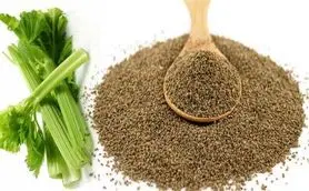 معجزه تخم یک گیاه دم‌دستی؛ پاکسازی بدن، تقویت کبد و تسکین درد مفاصل
