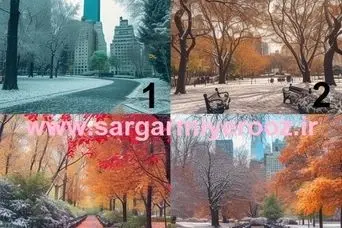 تست شخصیت شناسی : یک تصویر انتخاب کن تا بفهمی چقدر وفادار هستی!