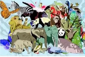 تست هوش: اگه نمیخوای کور رنگی بگیری ببر رو از بین حیوانات وحشی پیدا کن!