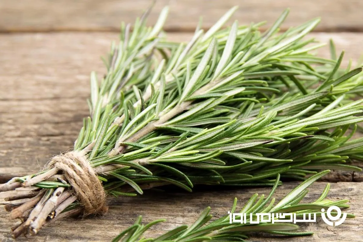 با این گیاه شگفت‌انگیز و باورنکردنی لاغر شو