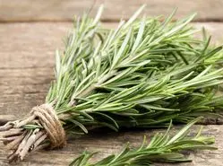 با این گیاه شگفت‌انگیز و باورنکردنی لاغر شو