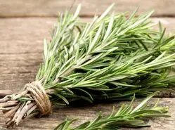 با این گیاه شگفت‌انگیز و باورنکردنی لاغر شو