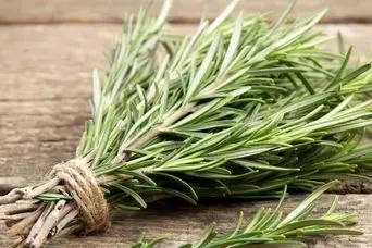 با این گیاه شگفت‌انگیز و باورنکردنی لاغر شو