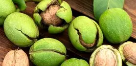 دیگه هیچوقت پوست گردو رو دور نریزید! عفونت‌زدایی طبیعی بدن با پوست گردو